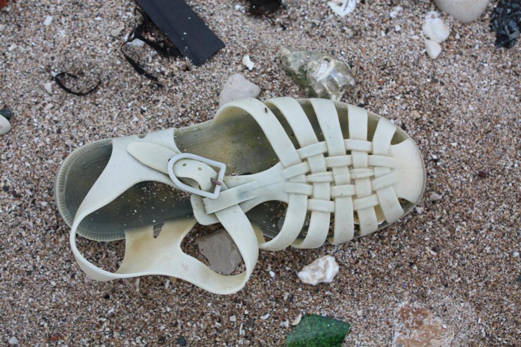 IMG_5320 (Large).JPG