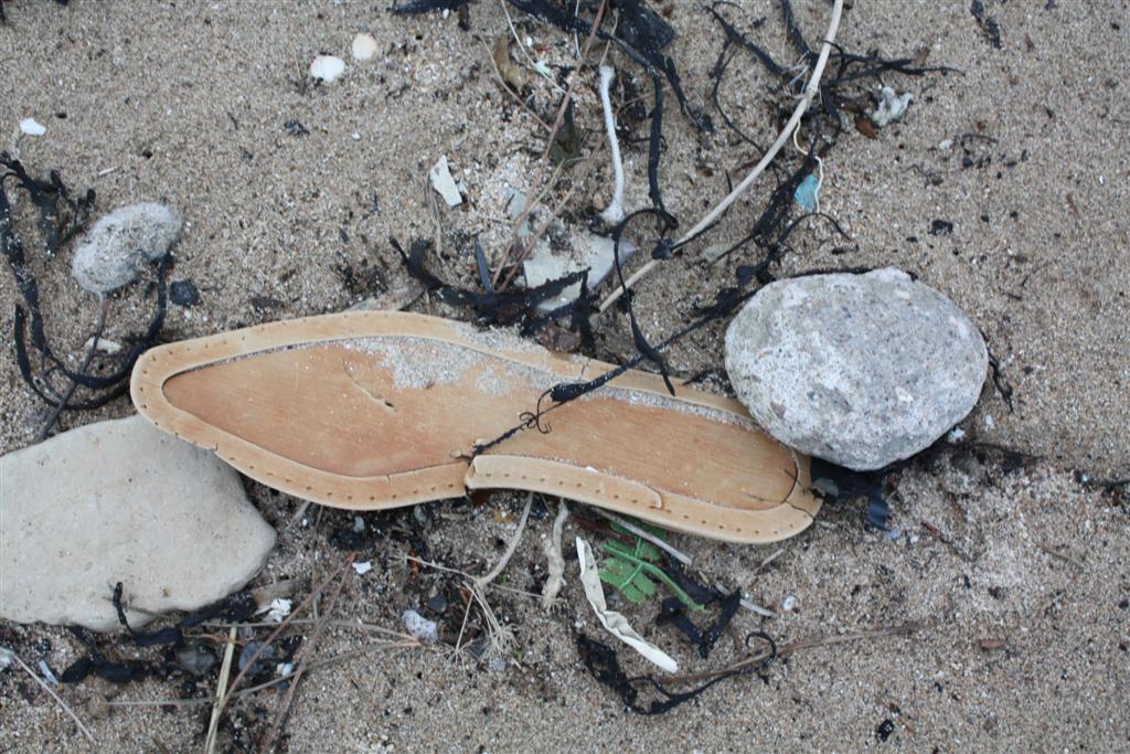 IMG_5324 (Large).JPG