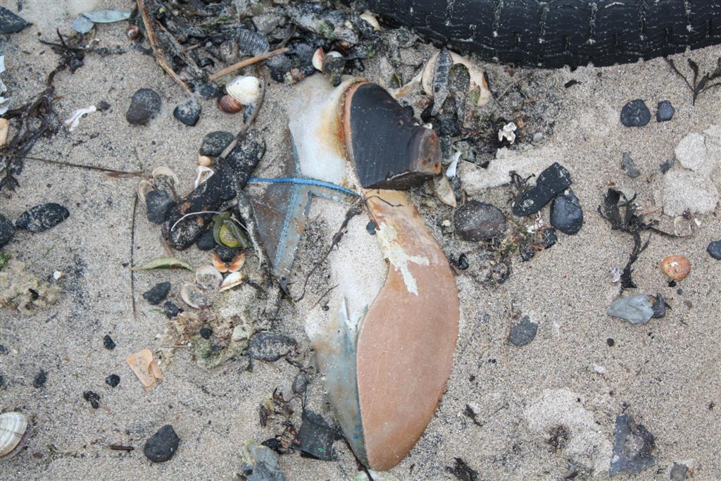 IMG_5313 (Large).JPG