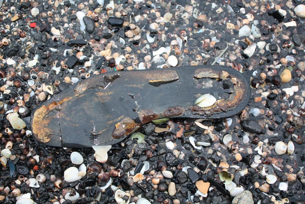 IMG_5318 (Large).JPG