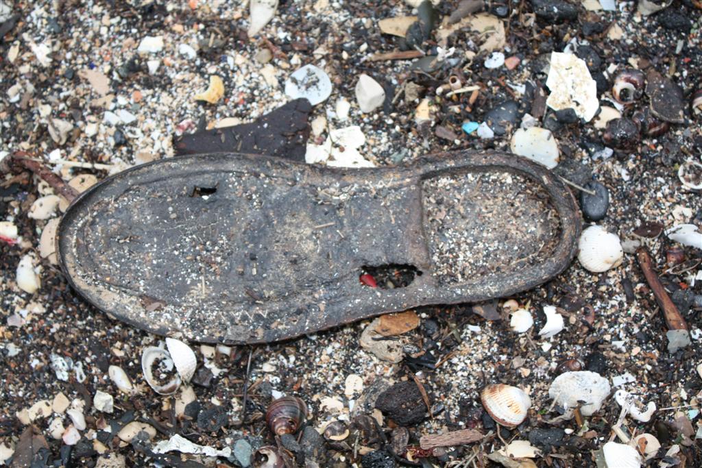 IMG_5317 (Large).JPG