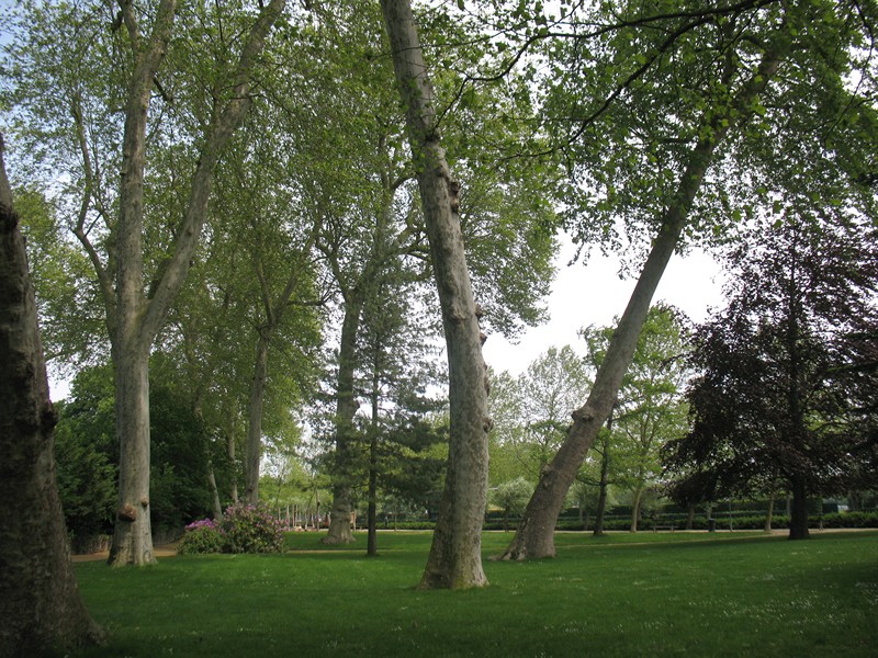 IMG_0973 [800x600].JPG