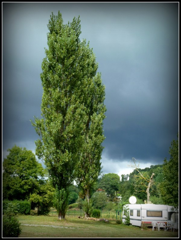 P1070556 [800x600].jpg