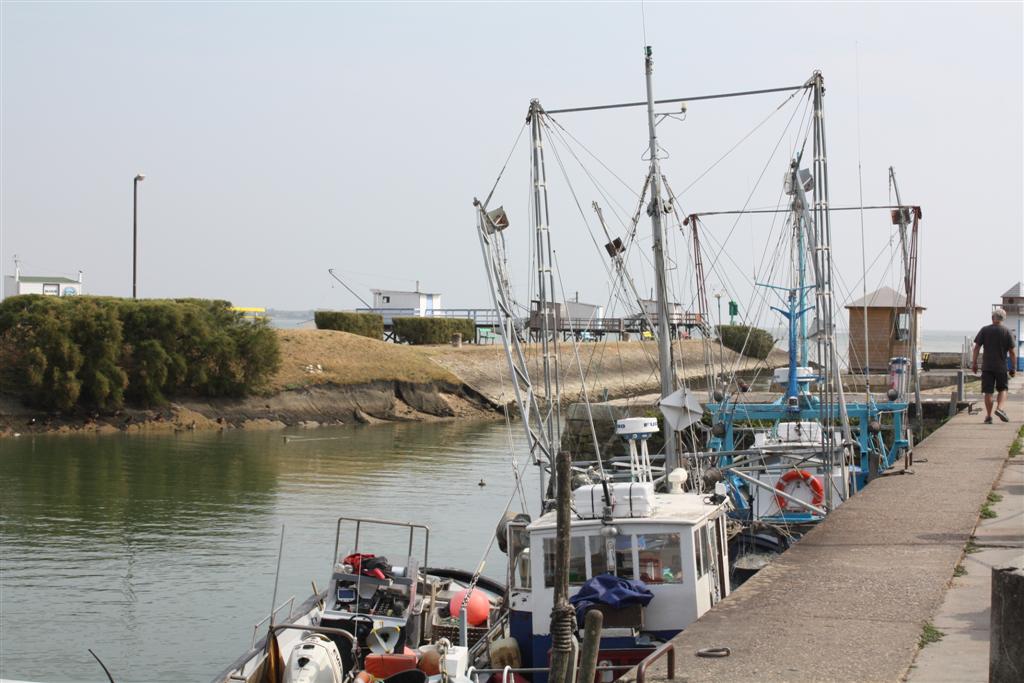 IMG_5898 (Large).JPG