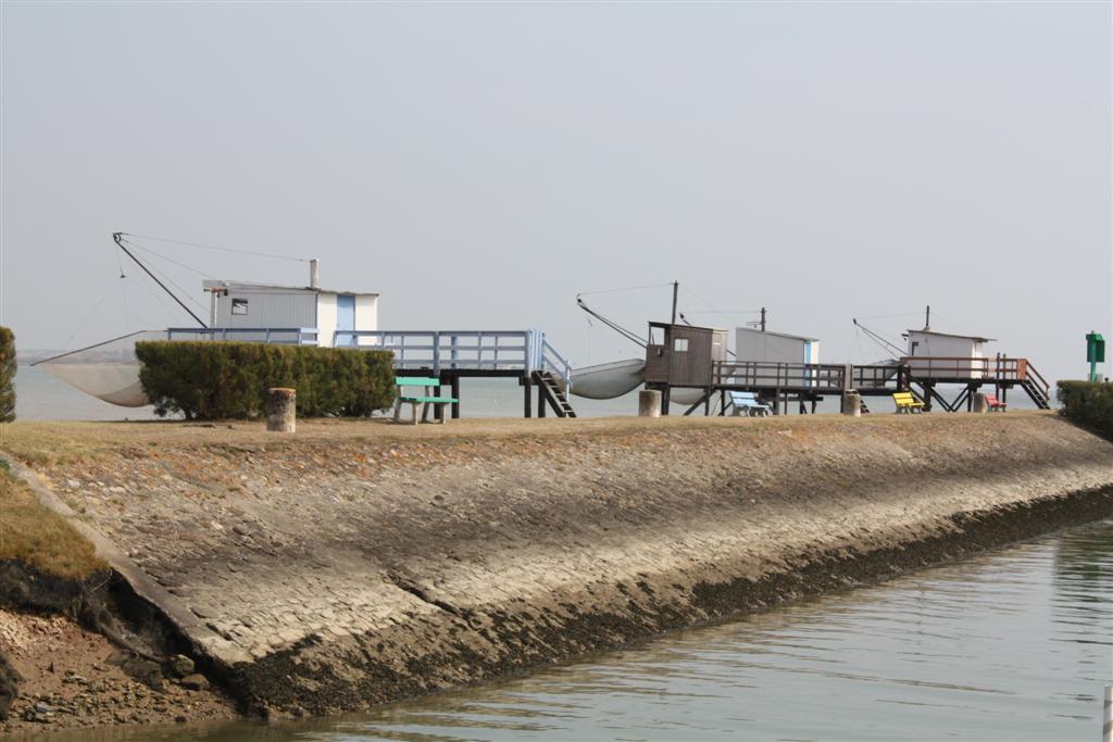 IMG_5900 (Large).JPG