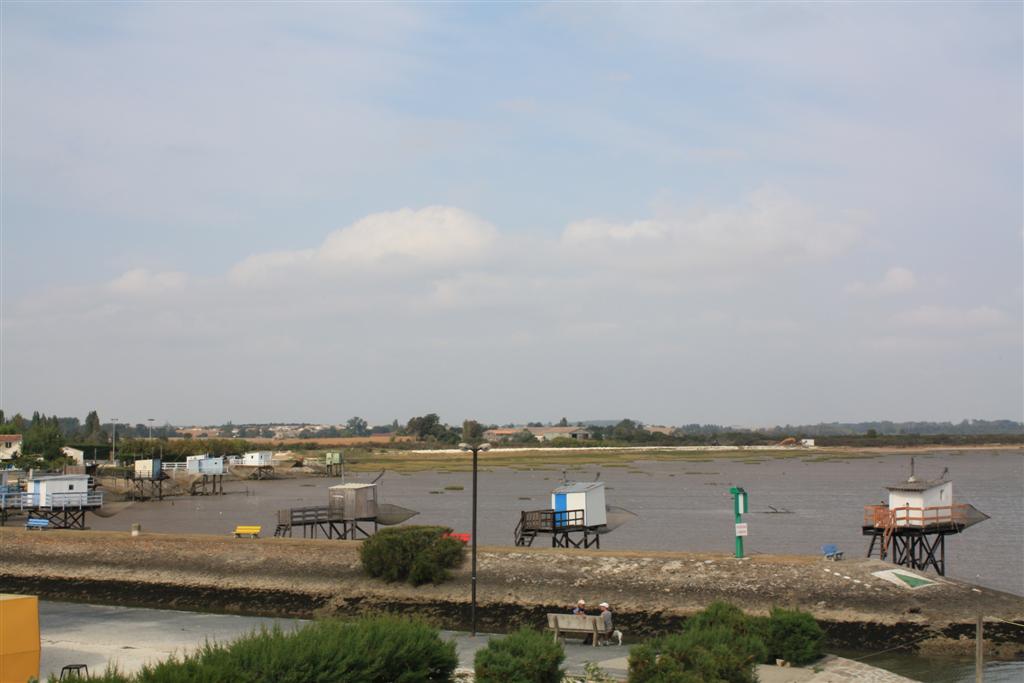 IMG_5906 (Large).JPG