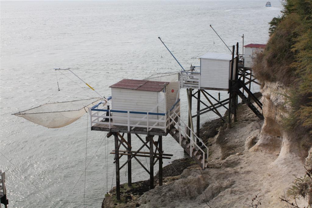 IMG_5908 (Large).JPG