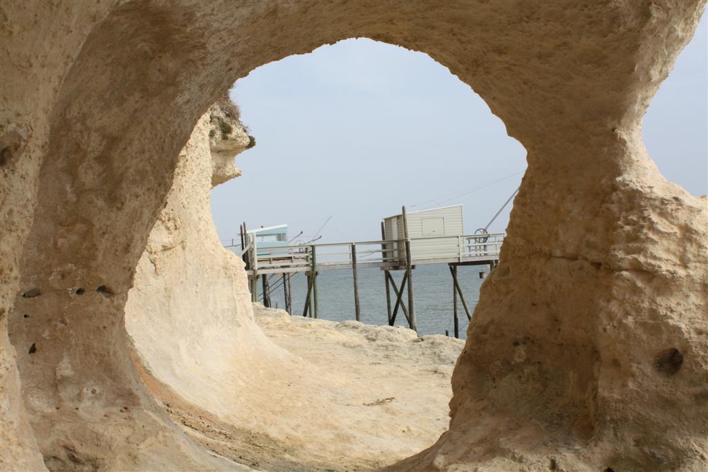 IMG_5911 (Large).JPG