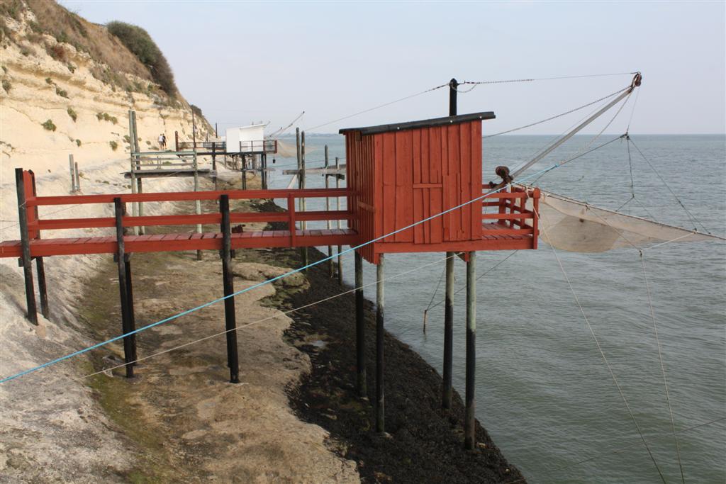 IMG_5918 (Large).JPG