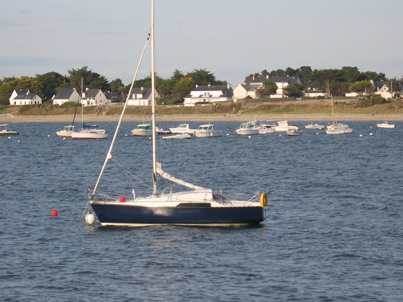 IMG_0575 [800x600].JPG