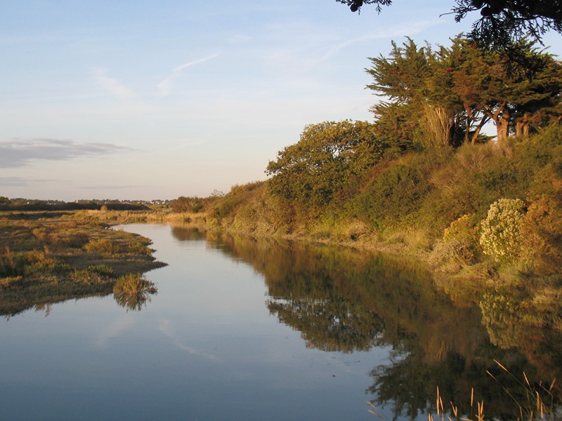 IMG_0577 [800x600].JPG