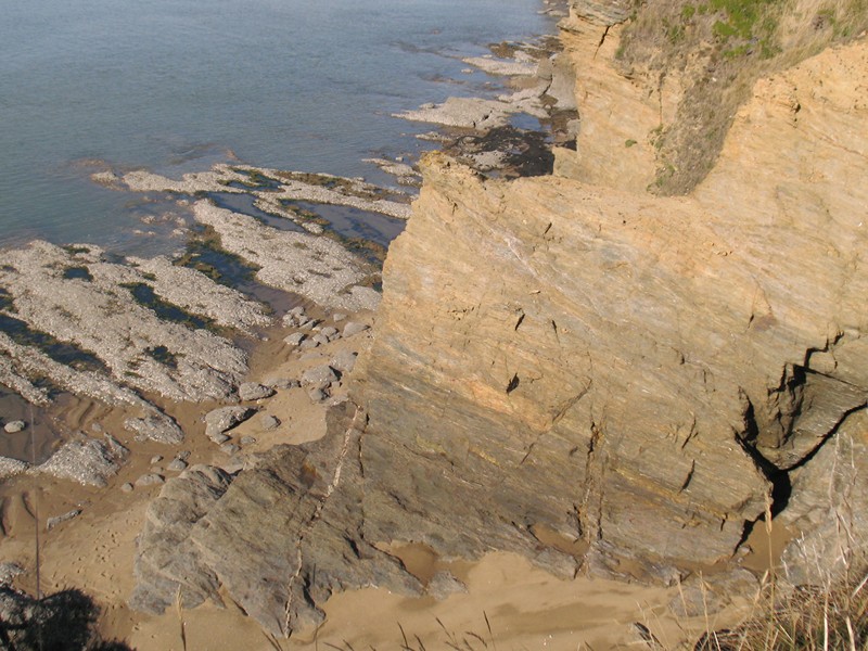 IMG_0593 [800x600].JPG