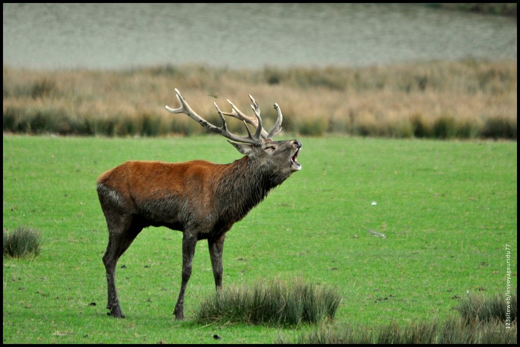 DSC_0217-001 [1024x768].jpg