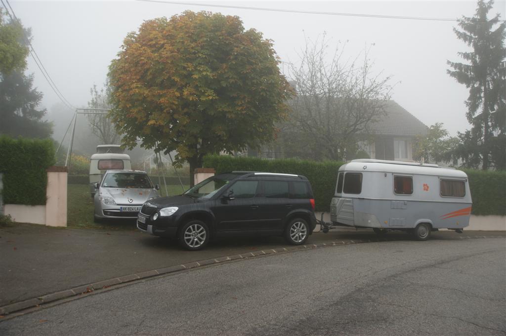 DSC03681 (Large).JPG