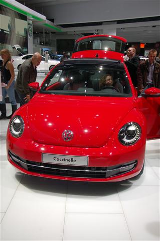 DSC_1545 (Small).JPG