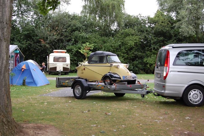 petite curiosité passant dans le camping