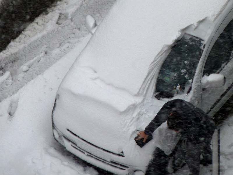 P1080418 [800x600].jpg