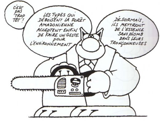 humour_gag_joke_le_chat_ecologie-520x393.jpg