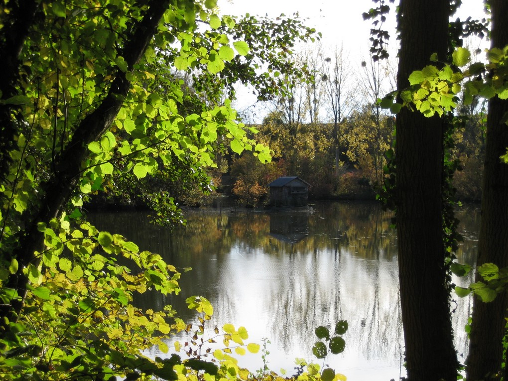 IMG_7533.JPG bis.jpg