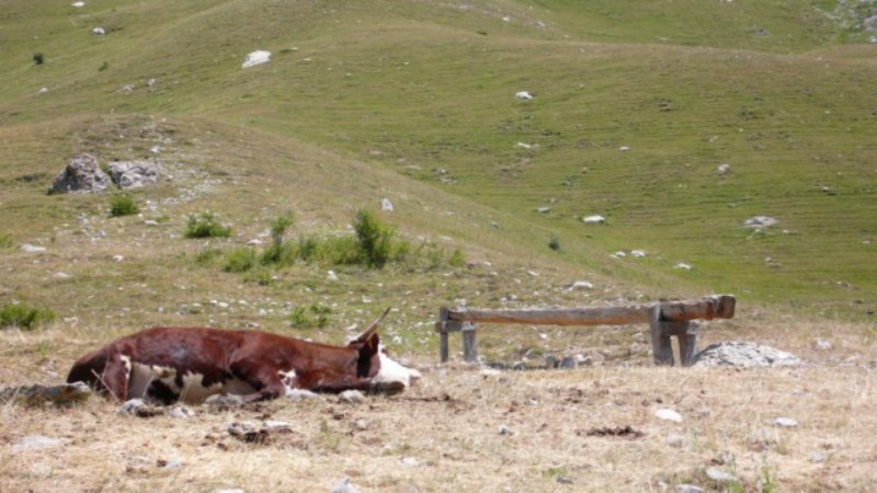 vacancesseynelesalpes2012 116.jpg