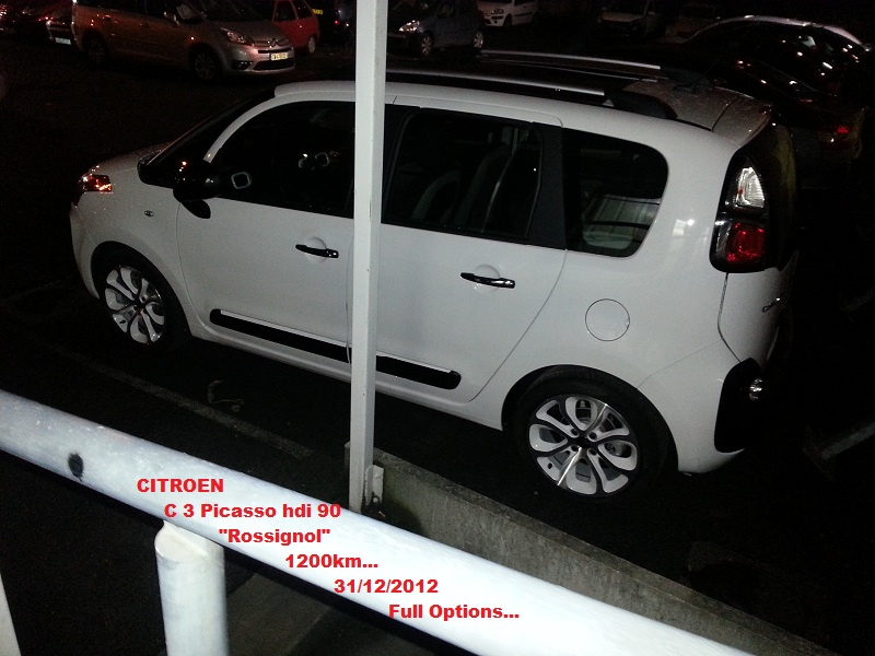 C3 Picasso 02-red.jpg