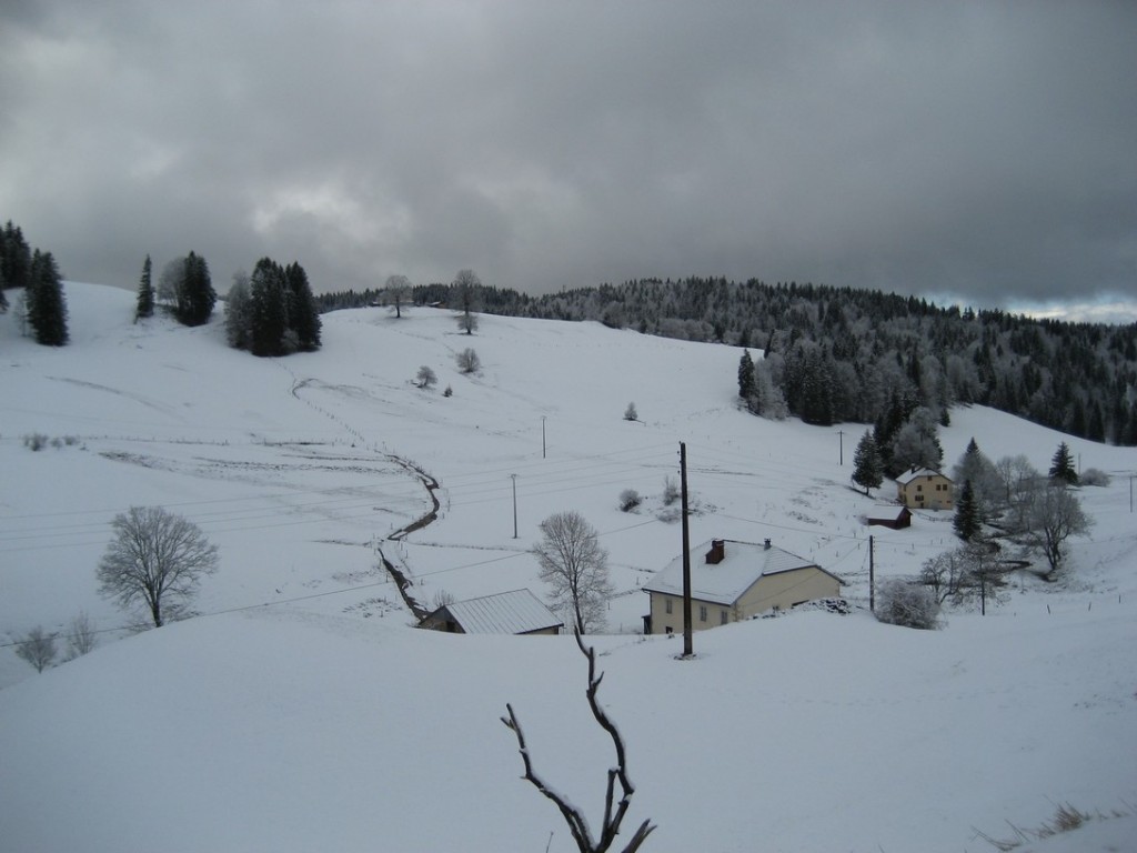 77(1316).bis JPG.jpg