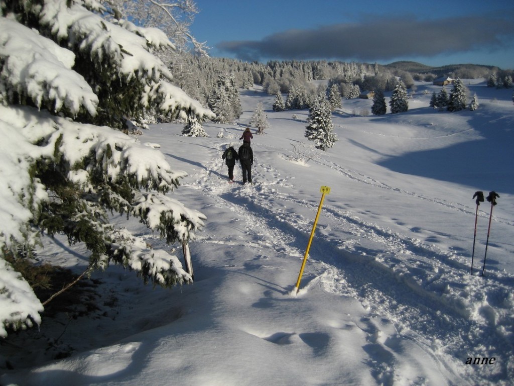 77(1403).bis JPG.jpg