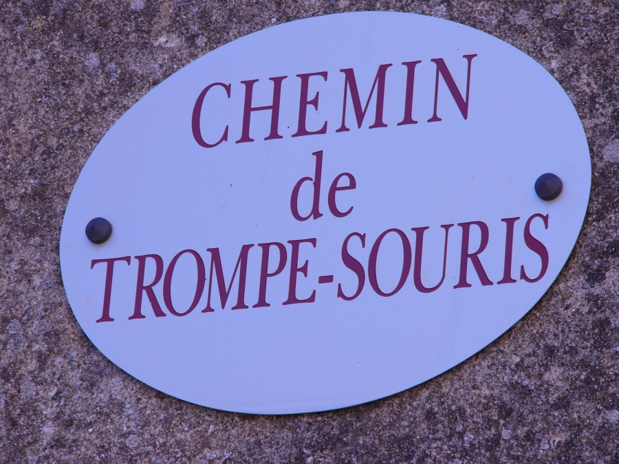 Chemin de Trompe Souris.JPG