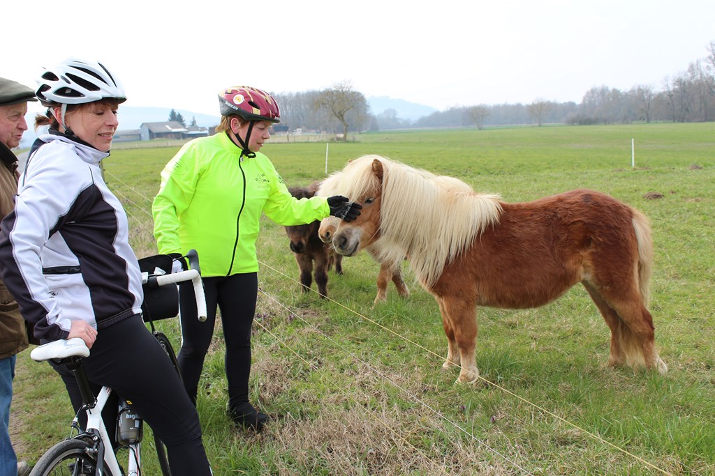 véloponeys 003 (Copier).JPG