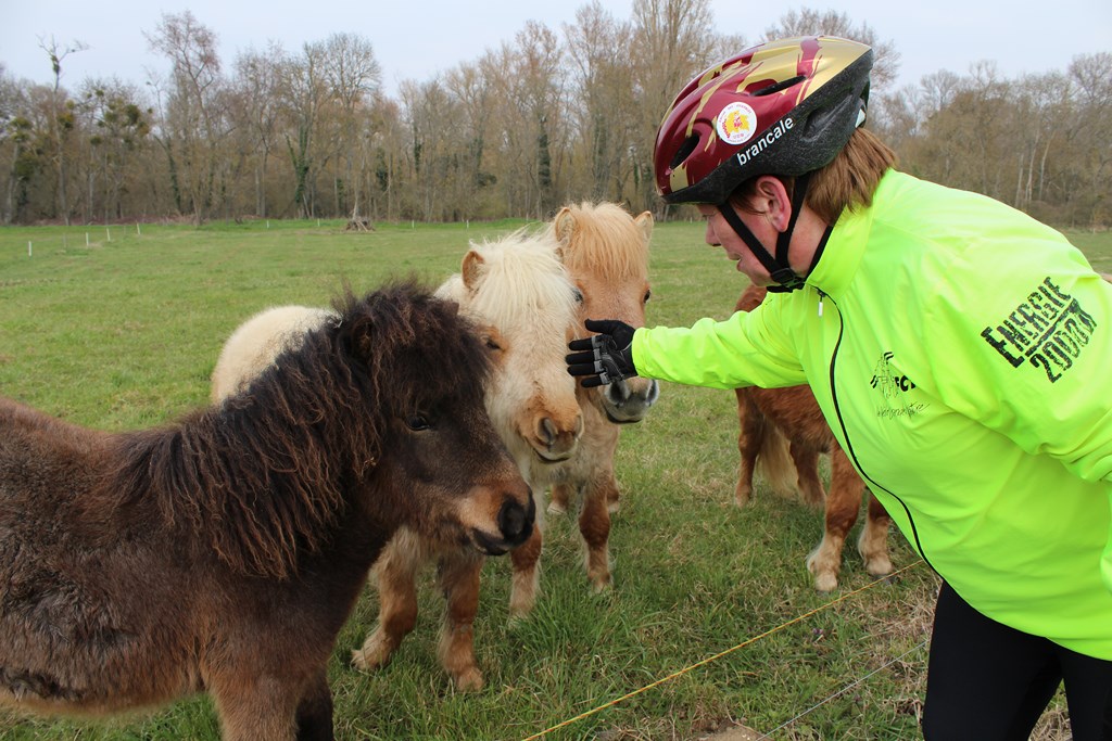 véloponeys 005 (Copier).JPG