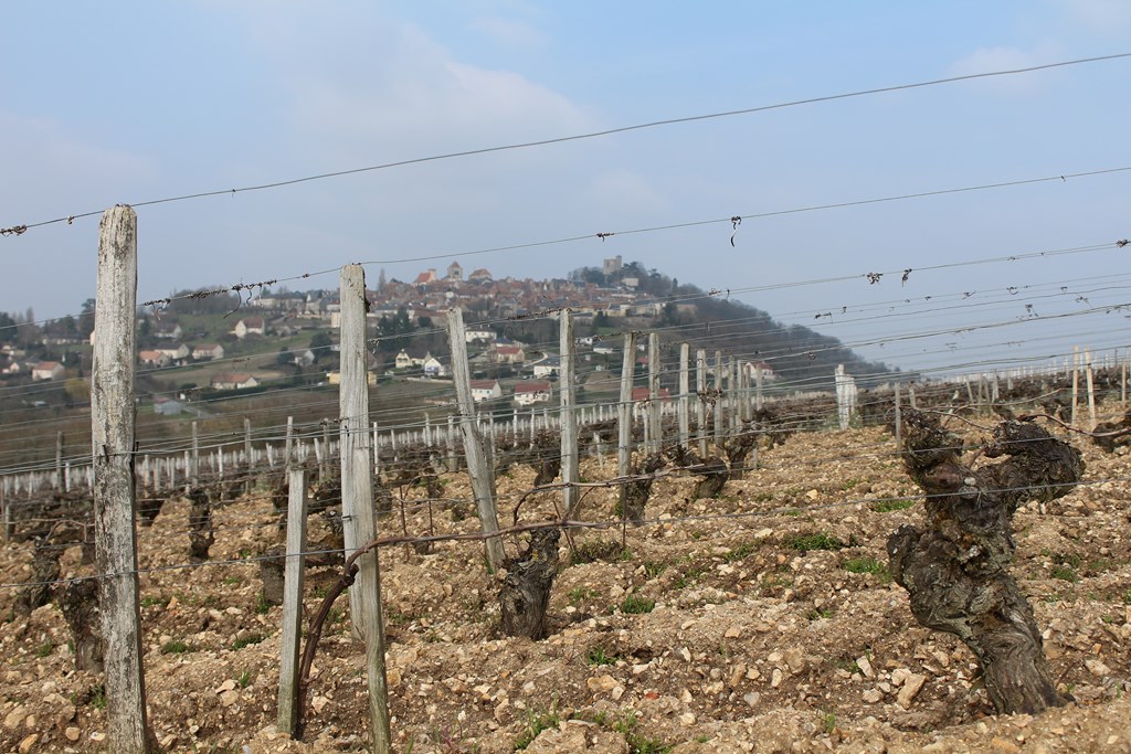 sancerre 015 (Copier).JPG