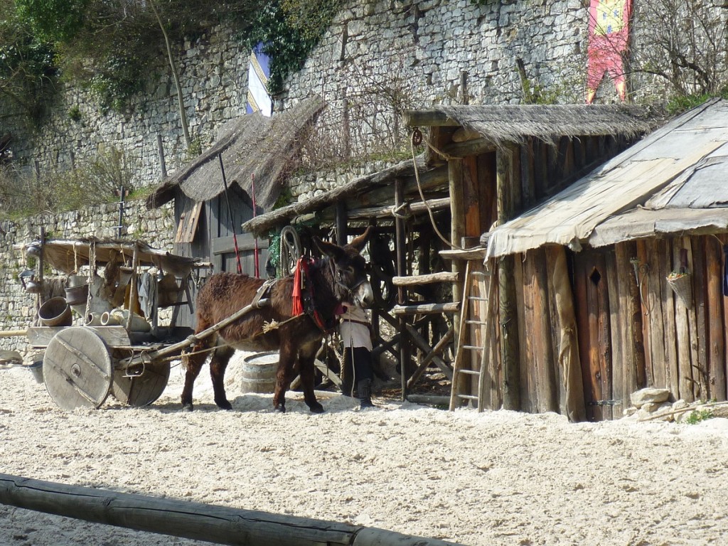 P1110351.JPG