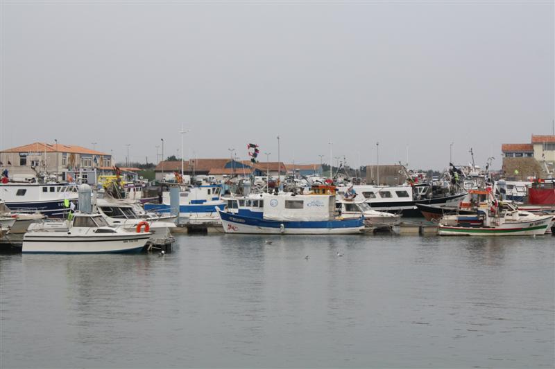 IMG_6161 (Medium).JPG