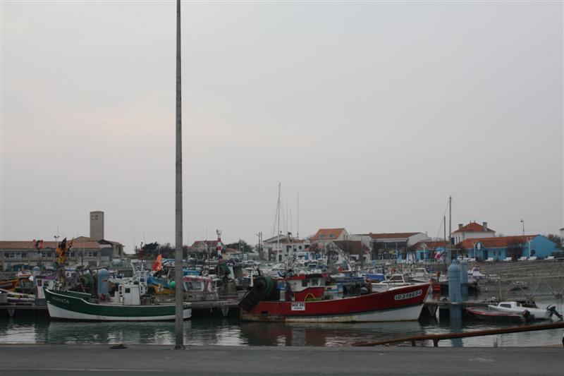 IMG_6168 (Medium).JPG