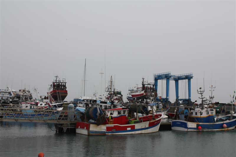 IMG_6170 (Medium).JPG