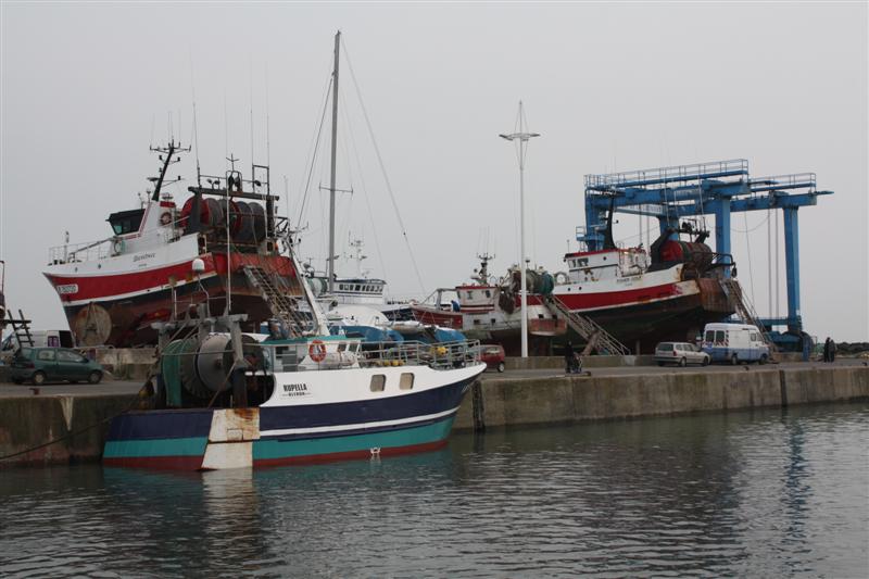 IMG_6172 (Medium).JPG