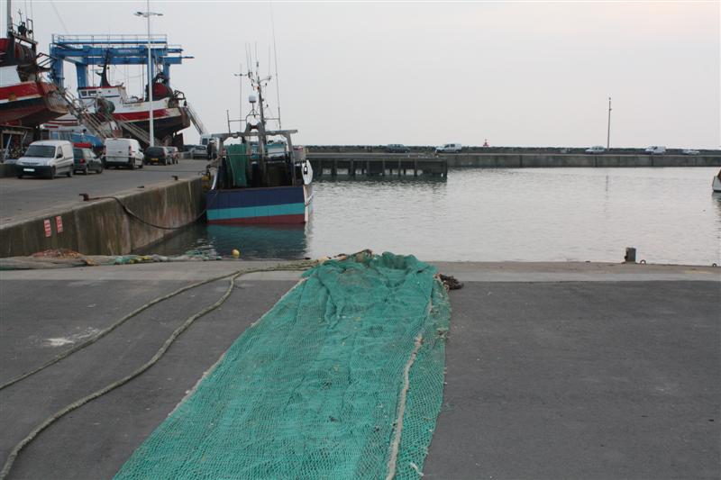 IMG_6173 (Medium).JPG