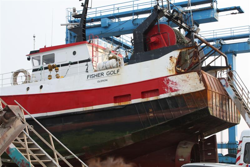 IMG_6176 (Medium).JPG