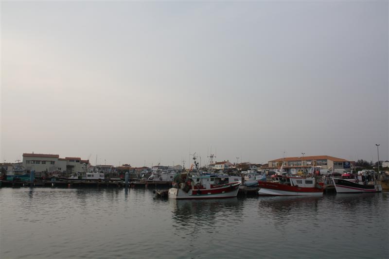 IMG_6177 (Medium).JPG