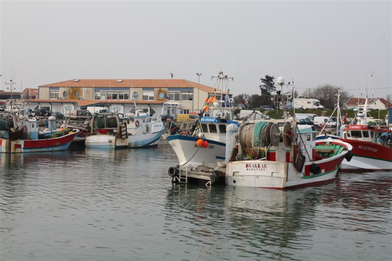 IMG_6180 (Medium).JPG