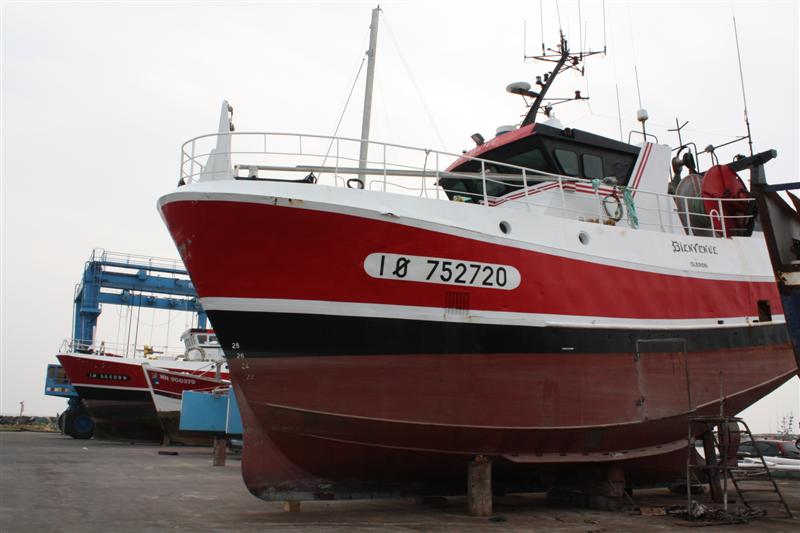 IMG_6190 (Medium).JPG