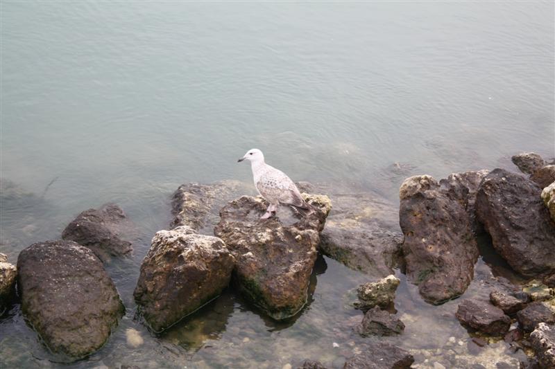 IMG_6191 (Medium).JPG