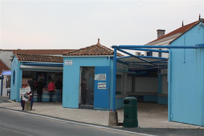 IMG_6192 (Medium).JPG