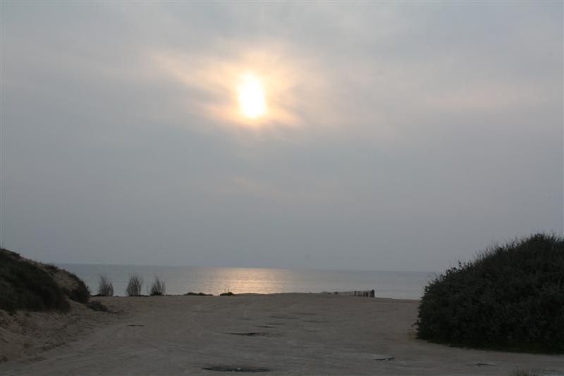 IMG_6193 (Medium).JPG