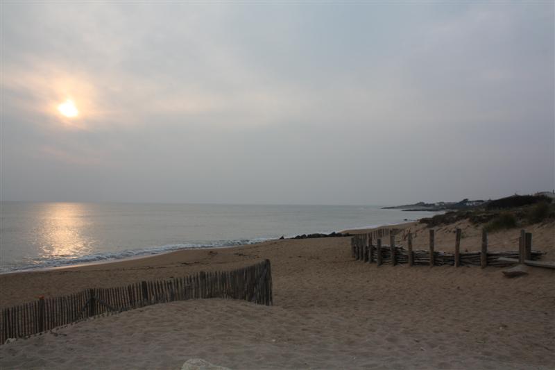 IMG_6196 (Medium).JPG