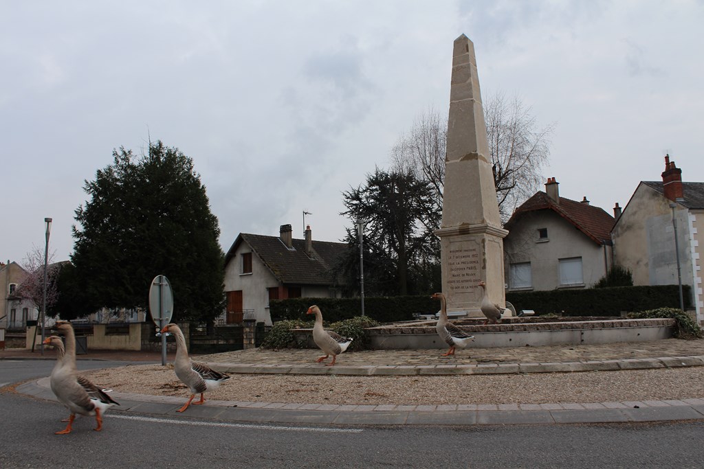 animaux 033 (Copier).JPG