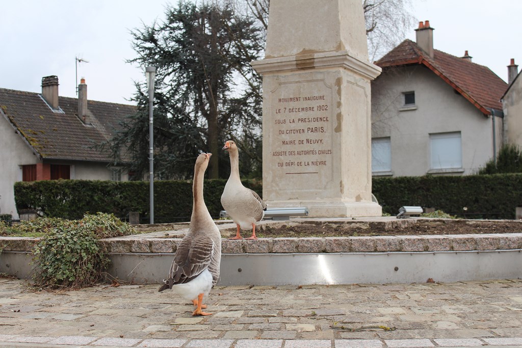 animaux 034 (Copier).JPG