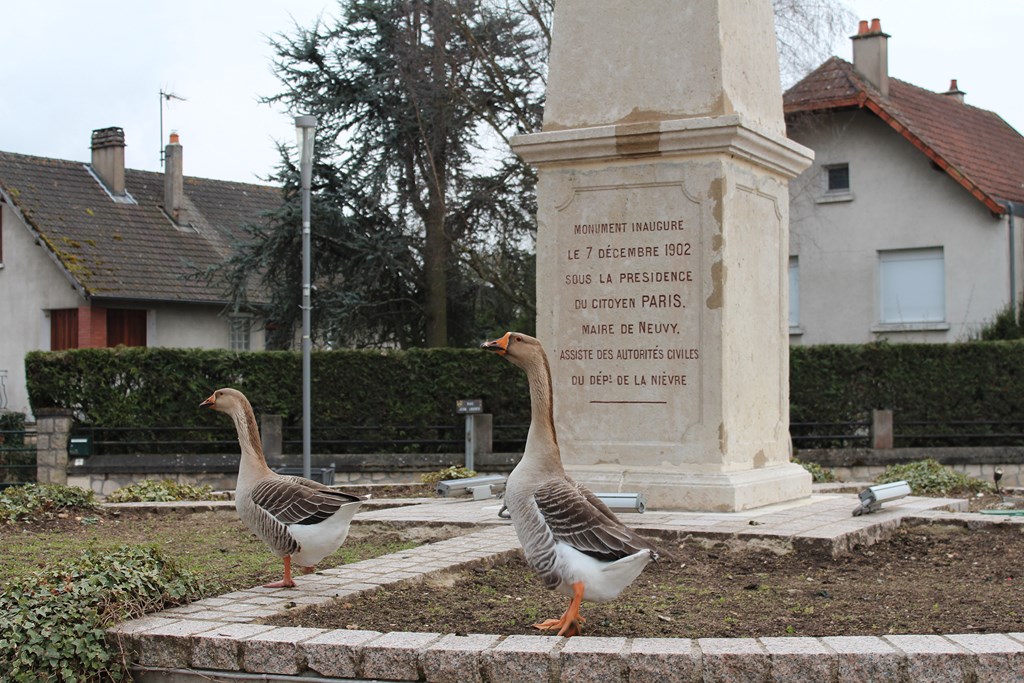 animaux 035 (Copier).JPG