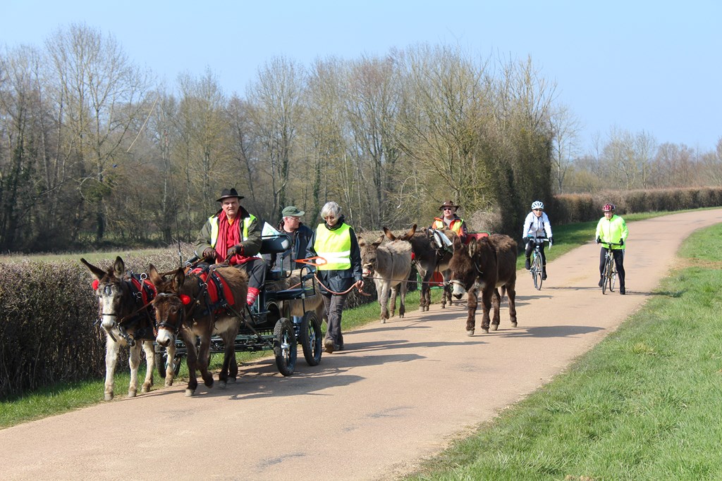 les ânes et les cyclotes (18) (Copier).JPG