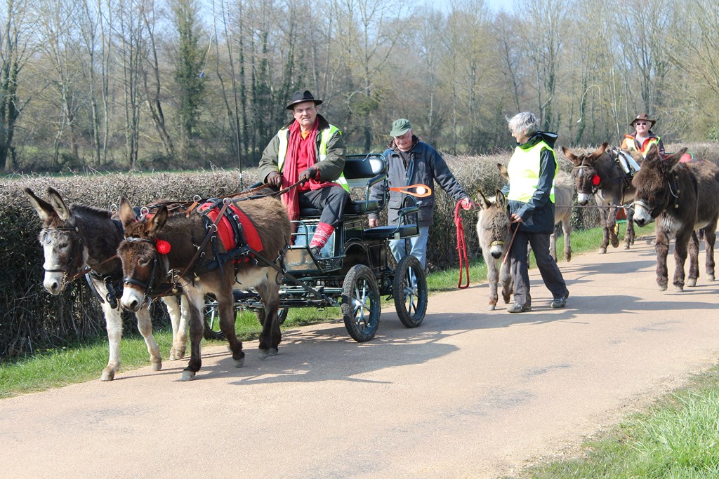 les ânes et les cyclotes (19) (Copier).JPG